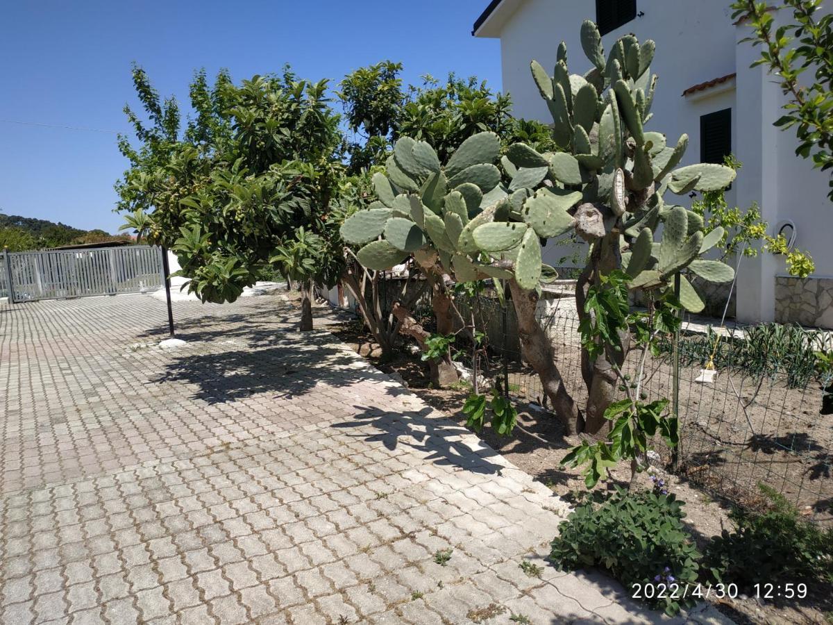 Villa Scialara Vieste Exterior foto